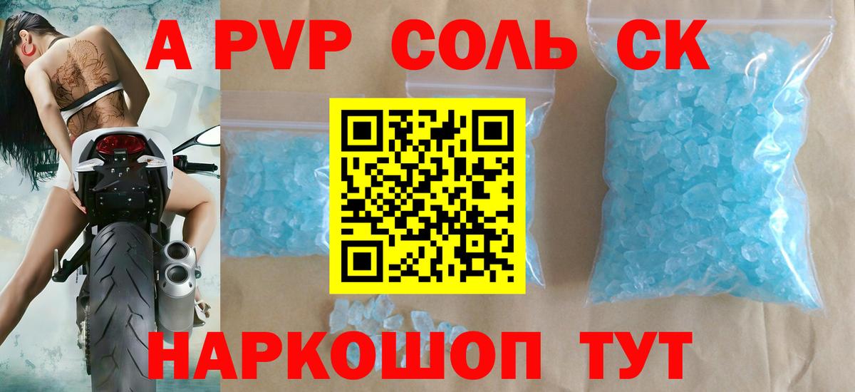Alfa_PVP СК КРИС Майкоп
